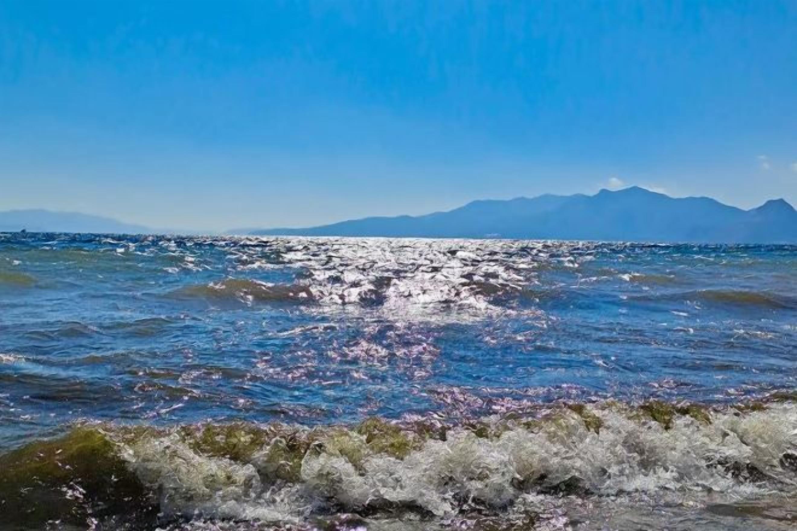 A body of water with waves, a clear sky, and distant mountains.