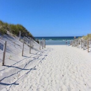 En la playa y camastros