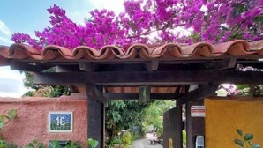 A pathway leading to a building with a tiled roof and a brick wall. - Gambá Casa Boutique (Búzios)