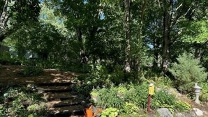 A stone staircase leading up to a wooden deck surrounded by lush greenery. - Harmony House, spacious 5-bedrooms in downtown Baraboo near Devil's Lake Park (Baraboo)