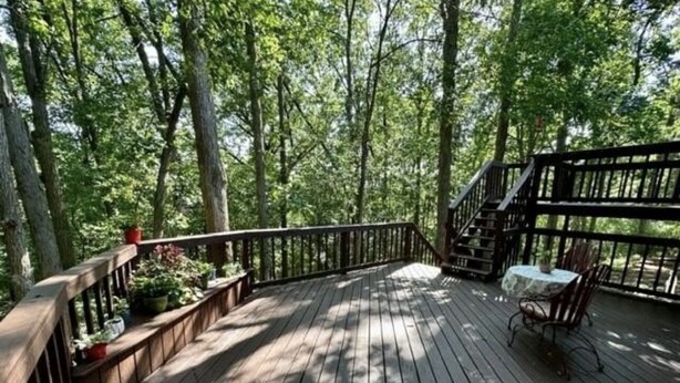 A wooden deck with a railing, surrounded by trees. - Harmony House, spacious 5-bedrooms in downtown Baraboo near Devil's Lake Park (Baraboo)