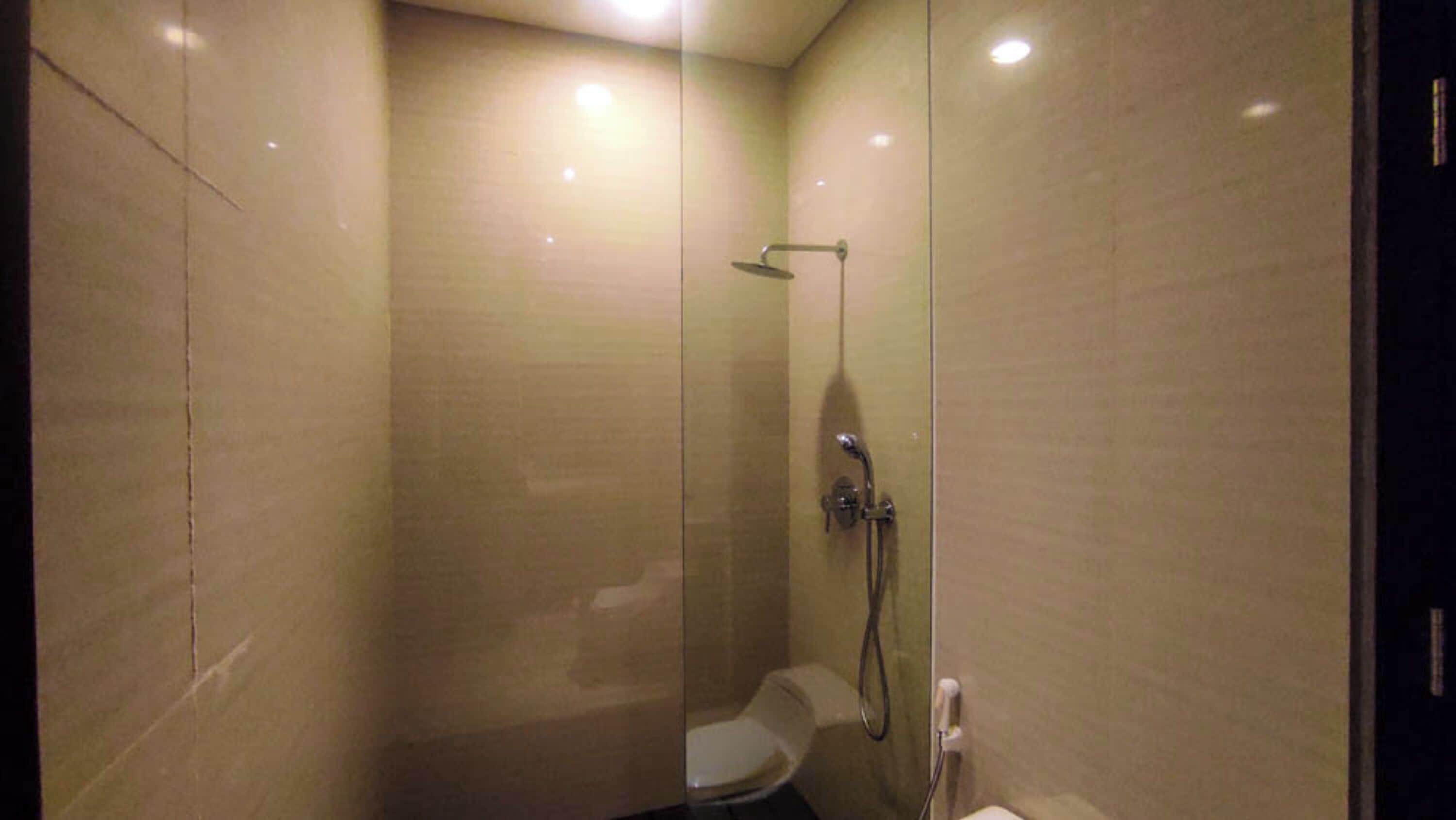 A small, enclosed shower area with a toilet and a handheld showerhead.