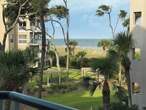 Property grounds - 4203 Newly Renovated 1BR 2BA Direct Ocean/Beach Views Sofa Bed Soaking Tub (Hilton Head Island)