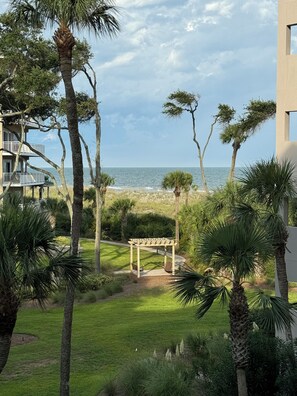 Property grounds - 4203 Newly Renovated 1BR 2BA Direct Ocean/Beach Views Sofa Bed Soaking Tub (Hilton Head Island)
