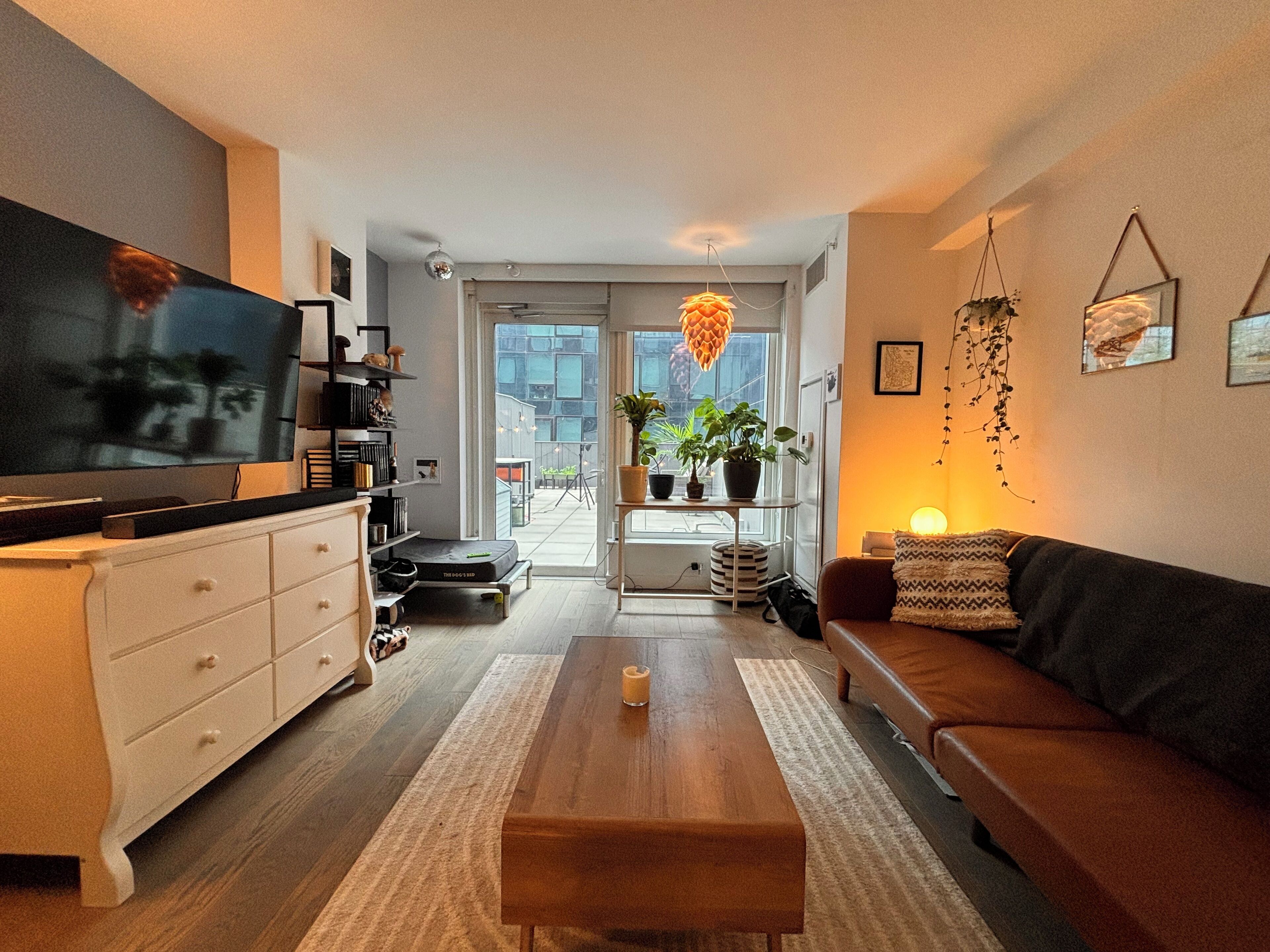 Williamsburg Luxury Waterfront Apt with Patio