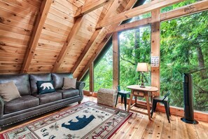 Smart TV, chimenea, libros