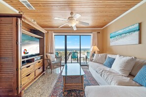 電視、DVD 播放機