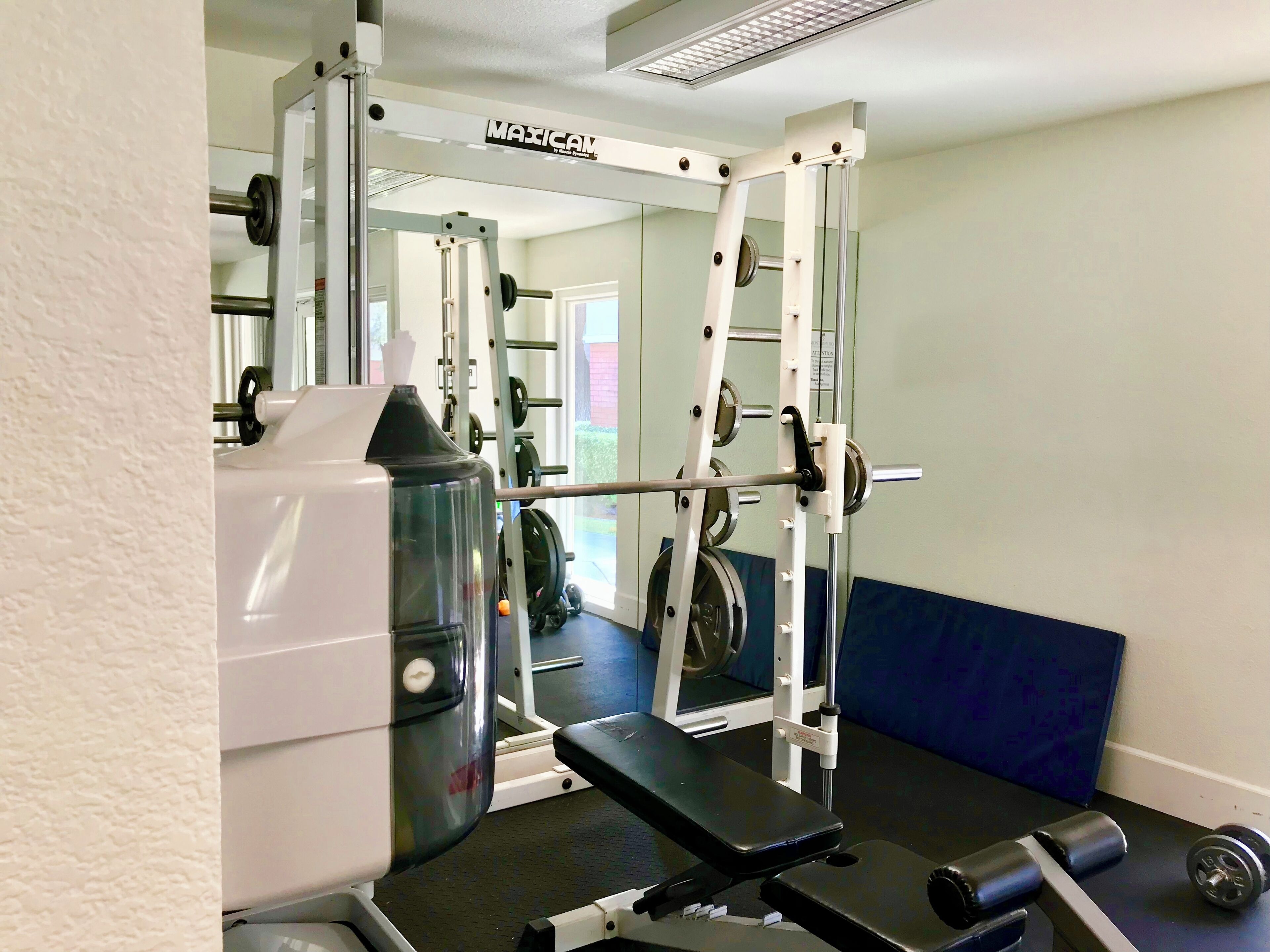 A gym with a squat rack, bench, and weights.