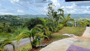 A view from a balcony overlooking a lush landscape with palm trees and a road. - Stay in the heart of Puerto Rico in a cozy home Casa Juani - Orocovis,PR!  (Orocovis)