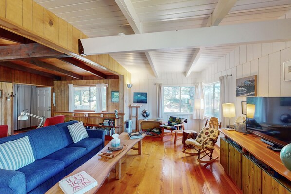 Télévision, cheminée, lecteur de DVD, livres