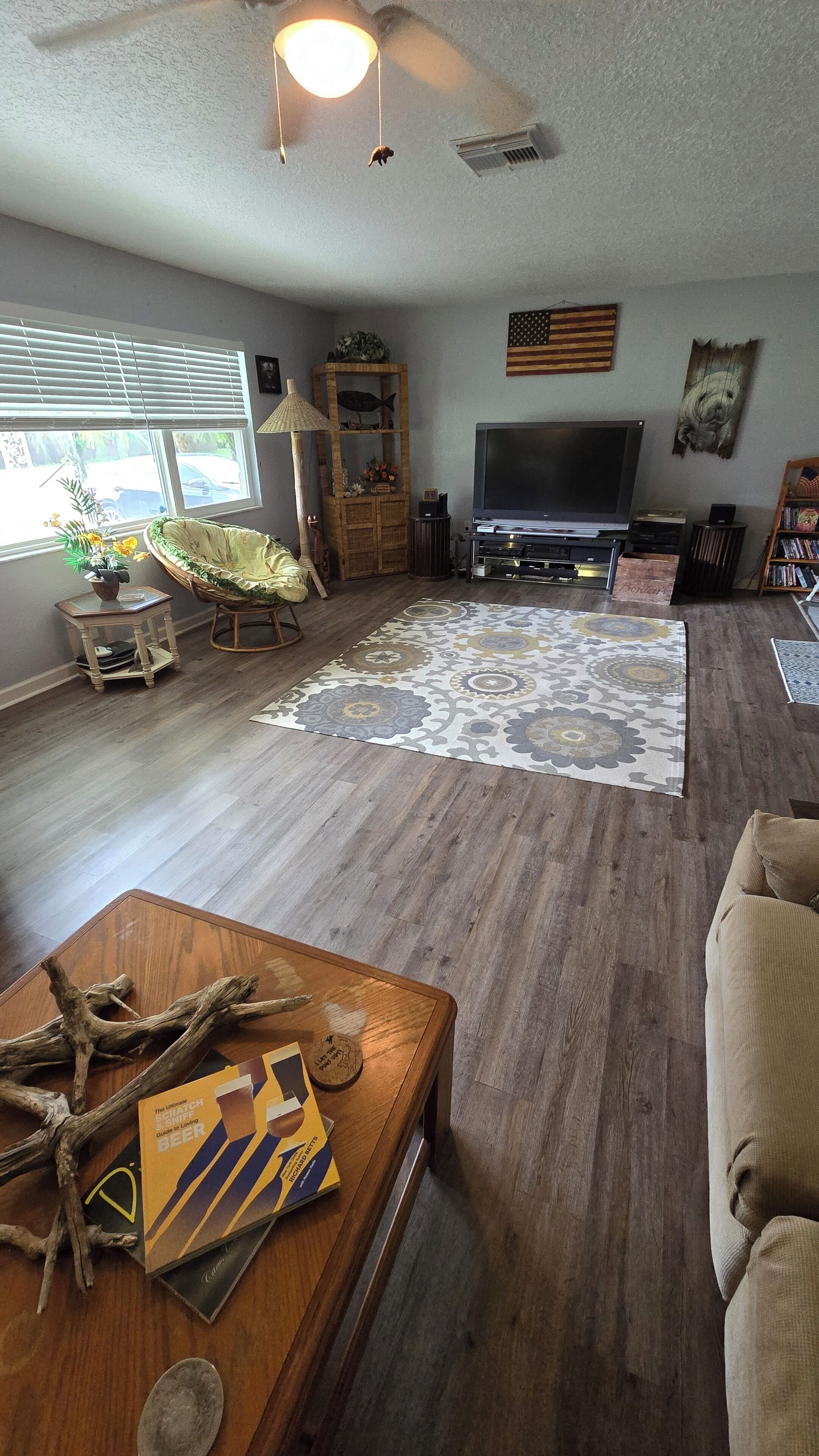 TV connectée, cheminée