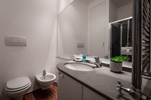 Shower, hair dryer, bidet, towels