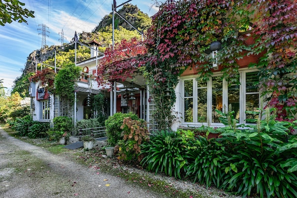 A quaint building with a covered porch, large windows, and lush greenery.