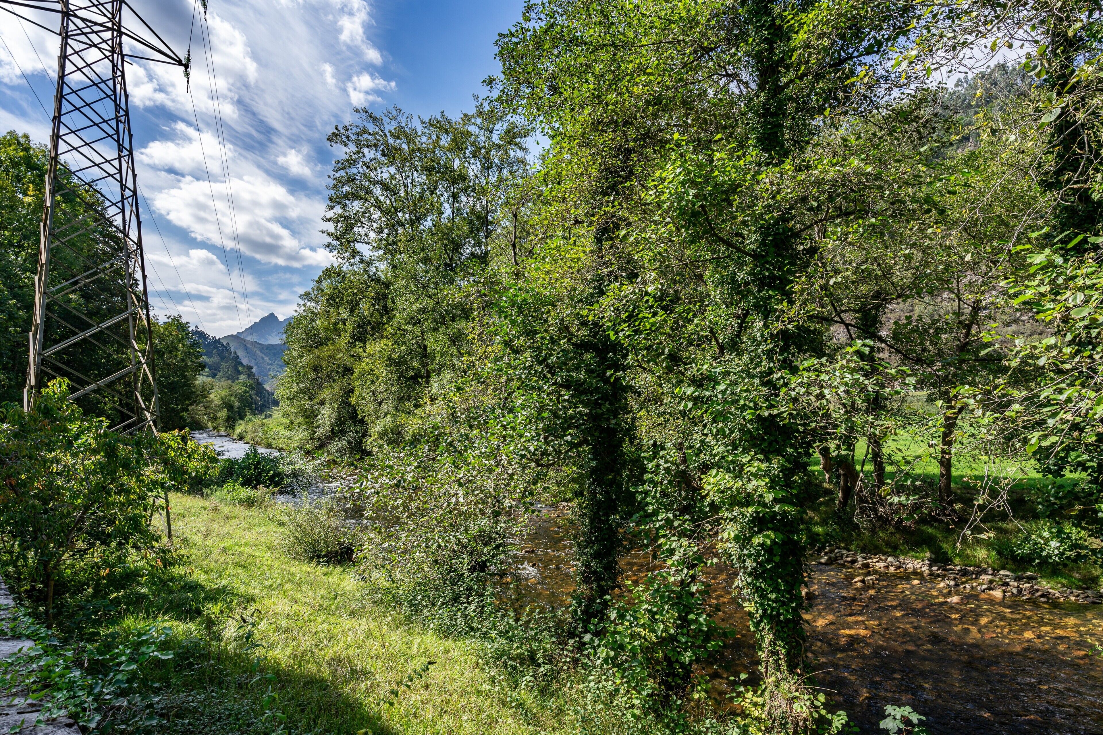 A natural landscape with a river, dense greenery, and a power line structure.
