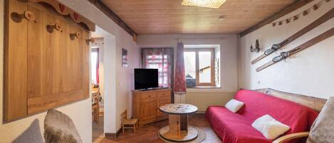 电视、DVD 播放器、立体声音响