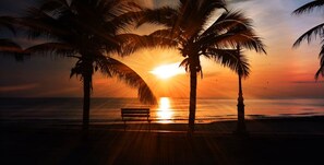 Praia