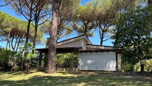 Ein Haus mit Garage, umgeben von Bäumen und einem grünen Rasen.