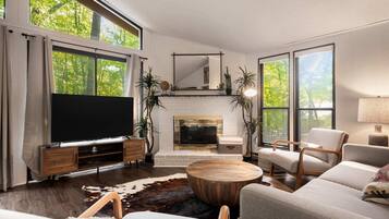 TV, fireplace, books, offices