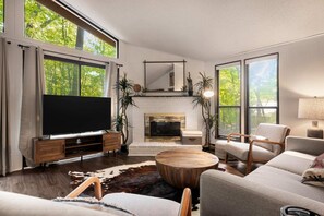 Fernseher, Kamin, Bücher, Arbeitsbereiche