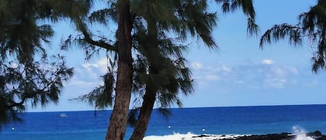 Playa en los alrededores