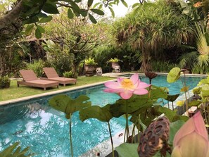 Pool - Beautiful Garden Villa Aja in North Seminyak, Bali (Bali)