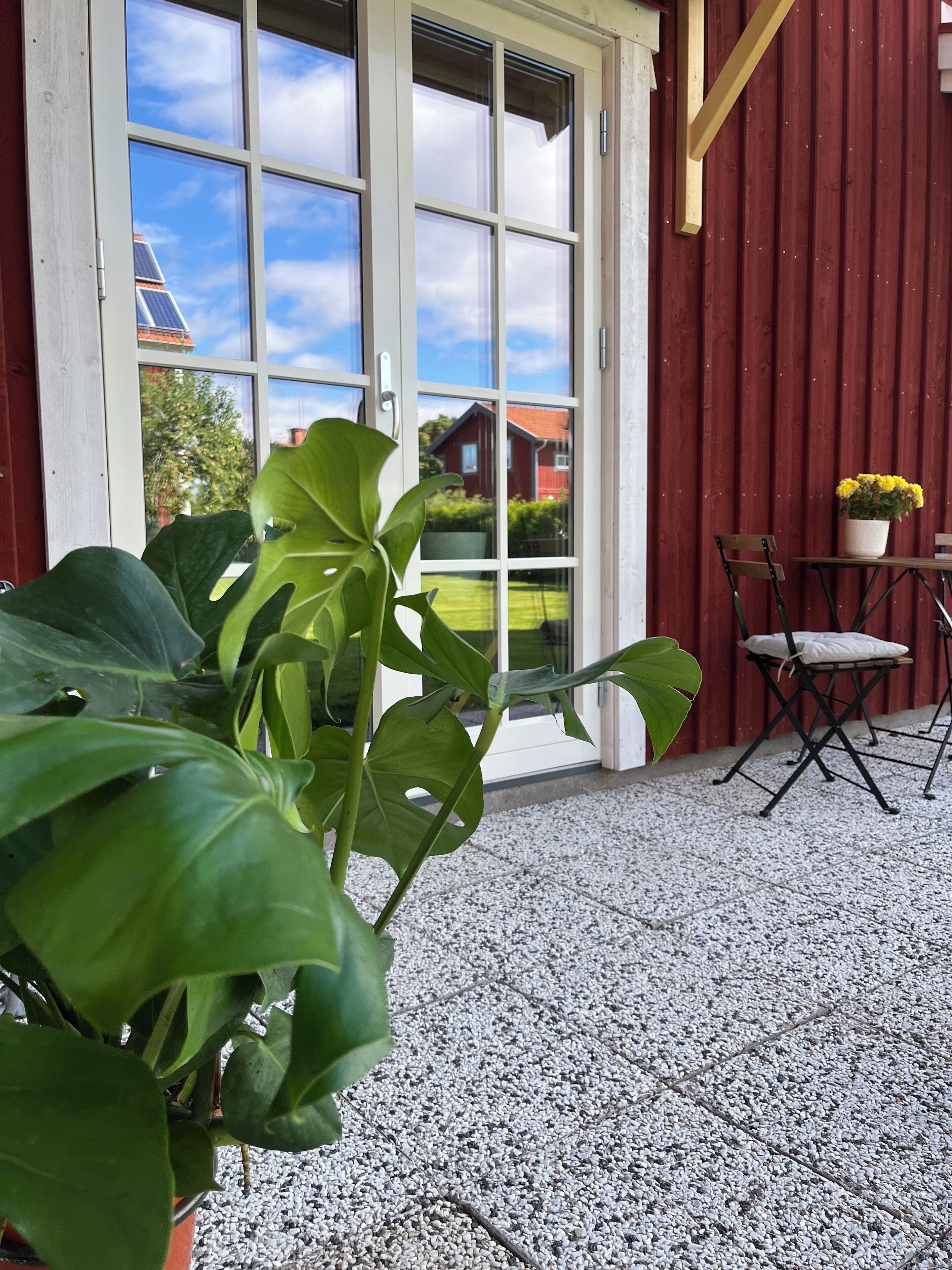 Una habitación con un ventanal grande, una planta en maceta, una mesa con sillas y una pared roja.