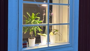 Una ventana con marco blanco y múltiples divisiones, que refleja plantas de interior y una cortina.