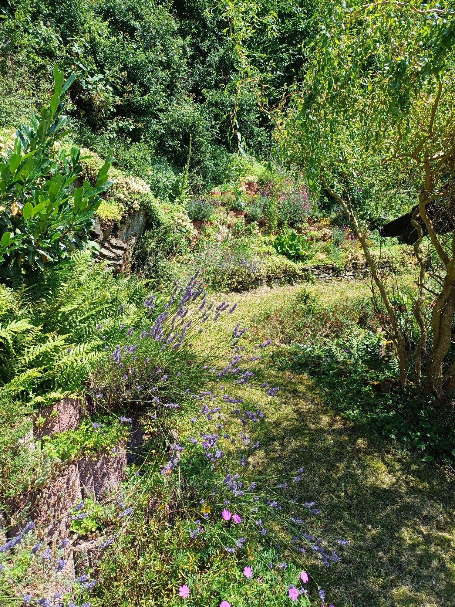 Een weelderige tuin met verschillende planten en bloemen, een rotsachtig terrein en een boom.
