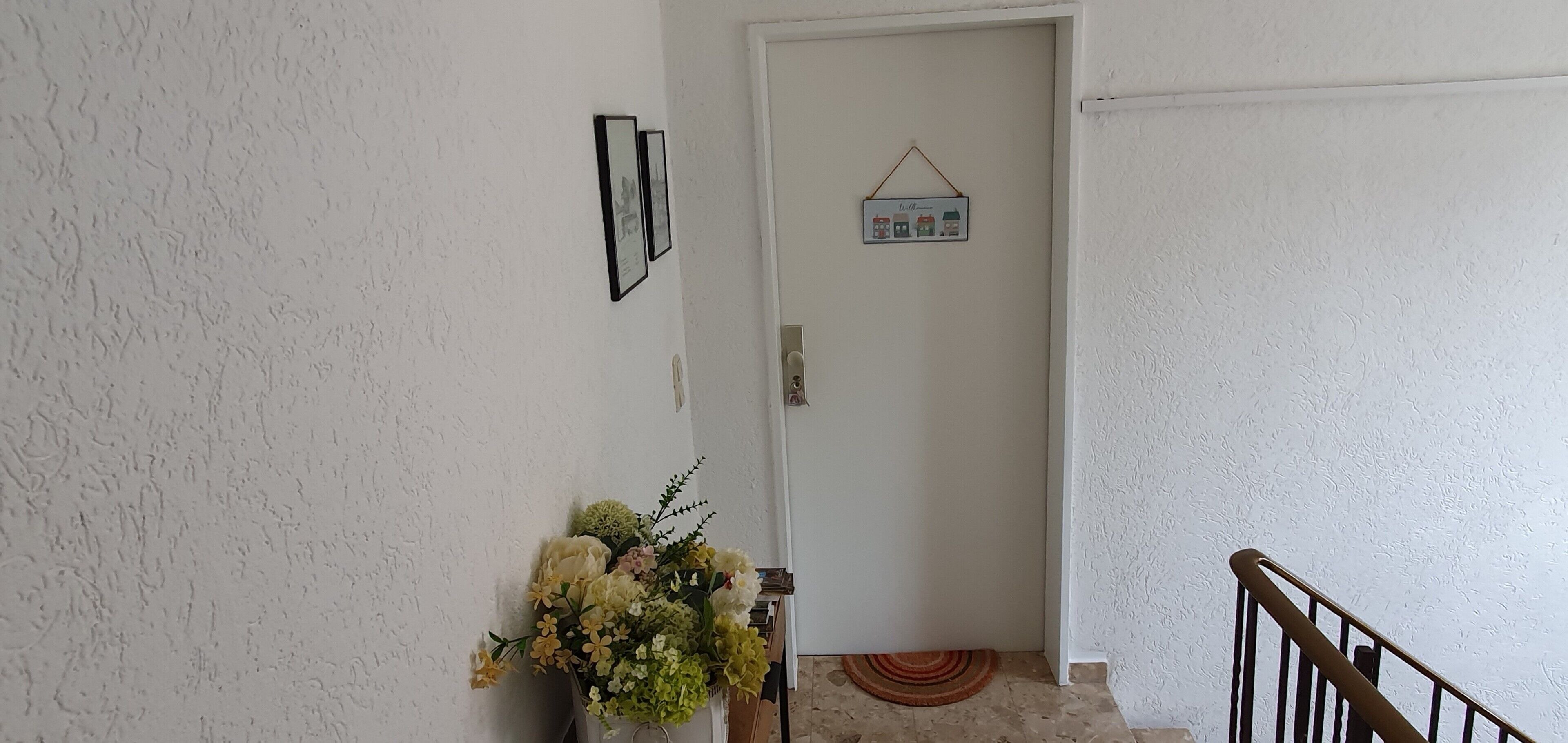 A hallway with a white door, a small rug, and a framed picture on the wall.