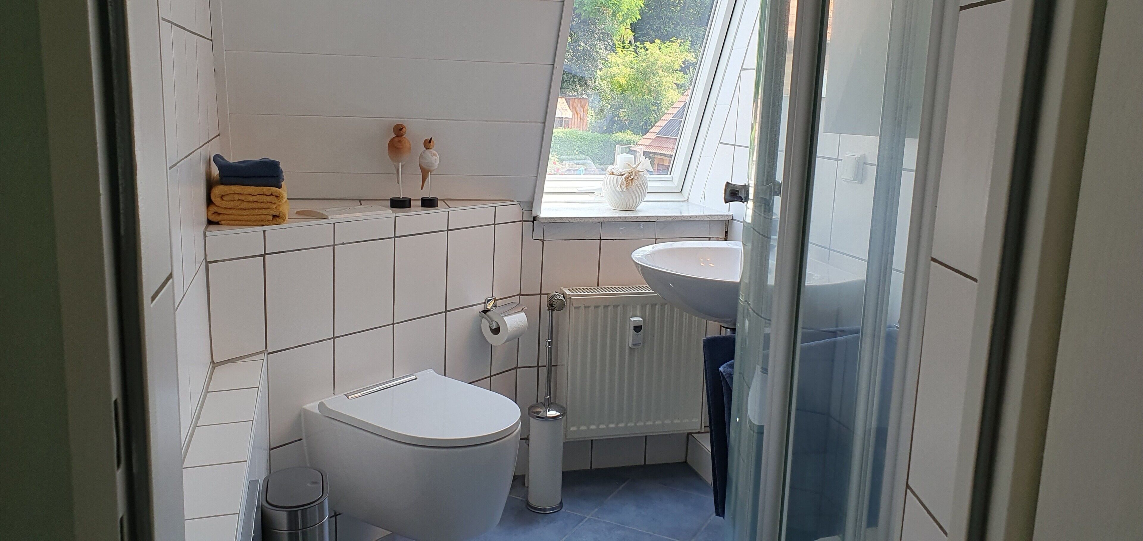 Shower, hair dryer, towels