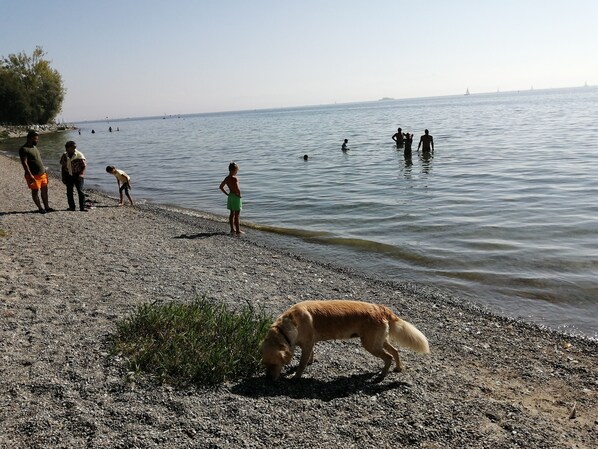 Tæt på stranden