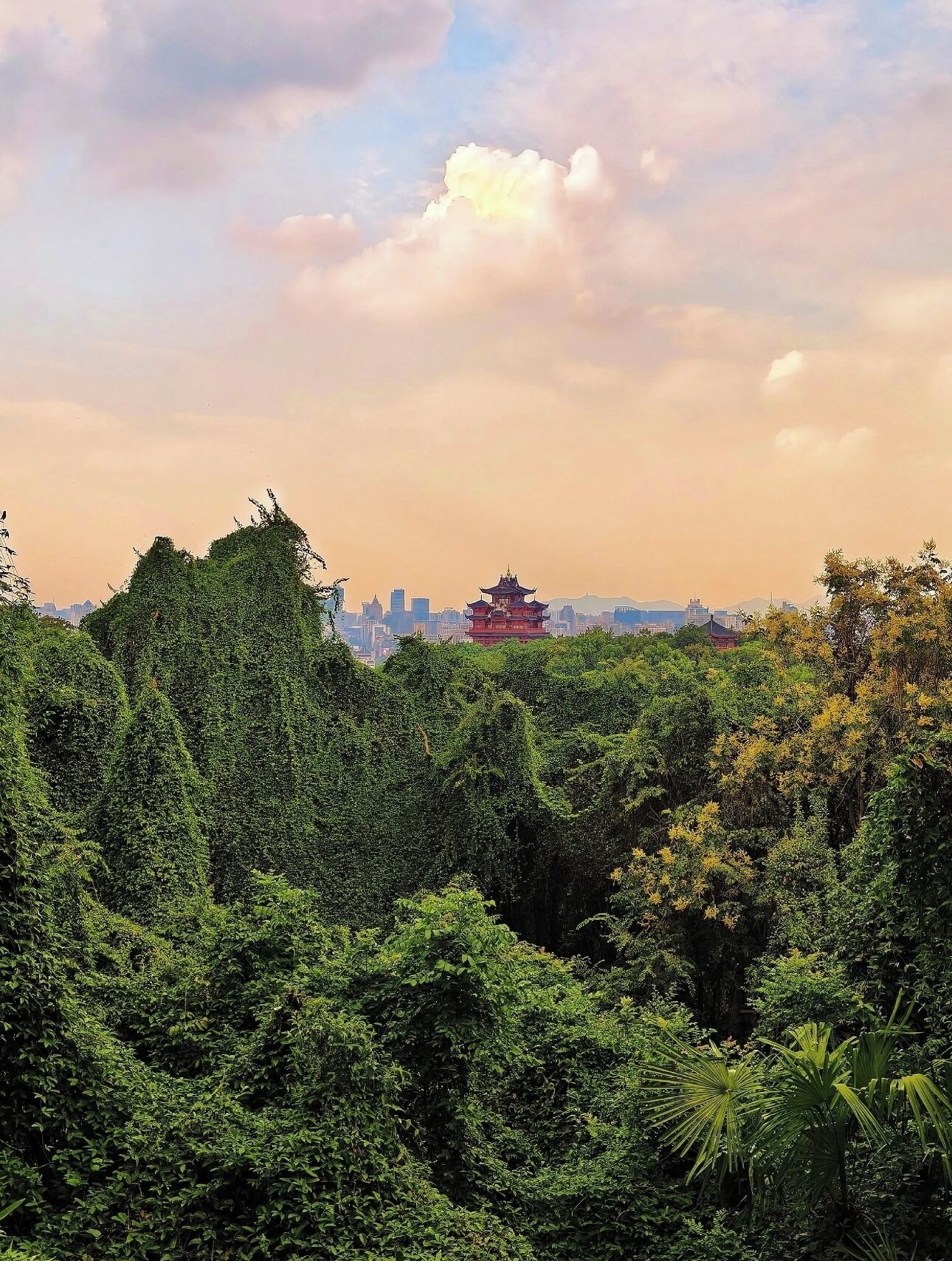 Un bosque verde exuberante con una pagoda tradicional roja al fondo.
