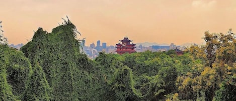 Un bosque verde exuberante con una pagoda tradicional roja al fondo.