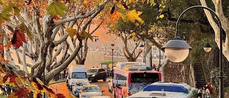 A street lined with autumn trees and a red bus with Chinese characters.
