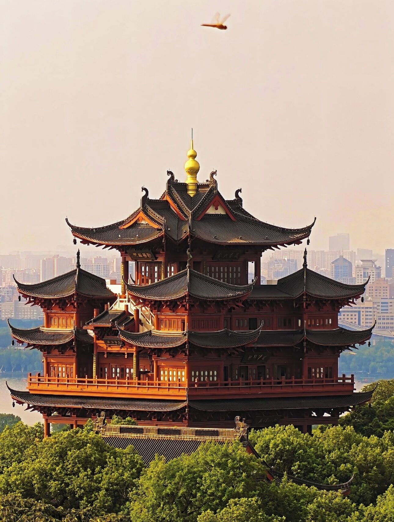 建築設計
