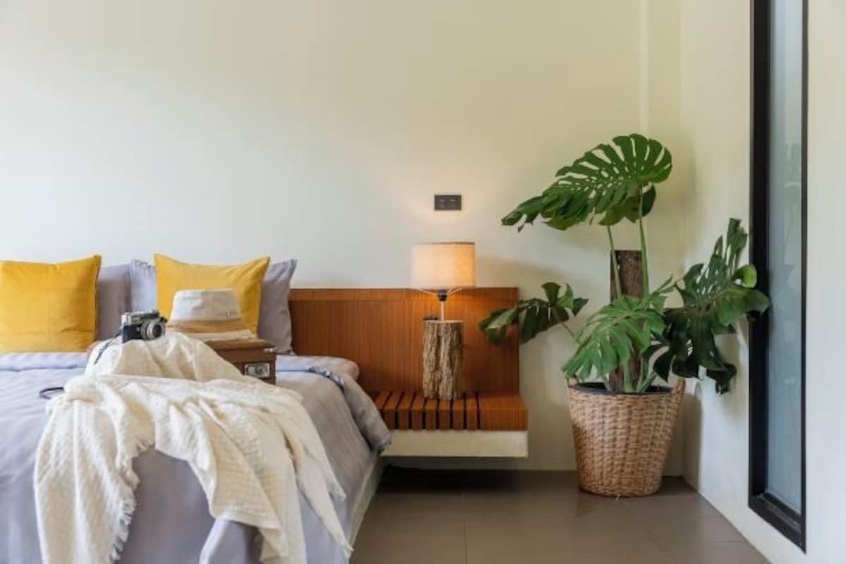 A neatly arranged hotel room with a bed, a bedside lamp, a camera, a potted plant, and a wooden bench.