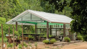 A greenhouse structure with a transparent roof, surrounded by potted plants and seedlings.