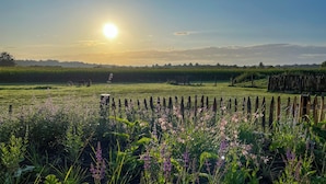 A rural landscape with a field, fence, and distant trees.