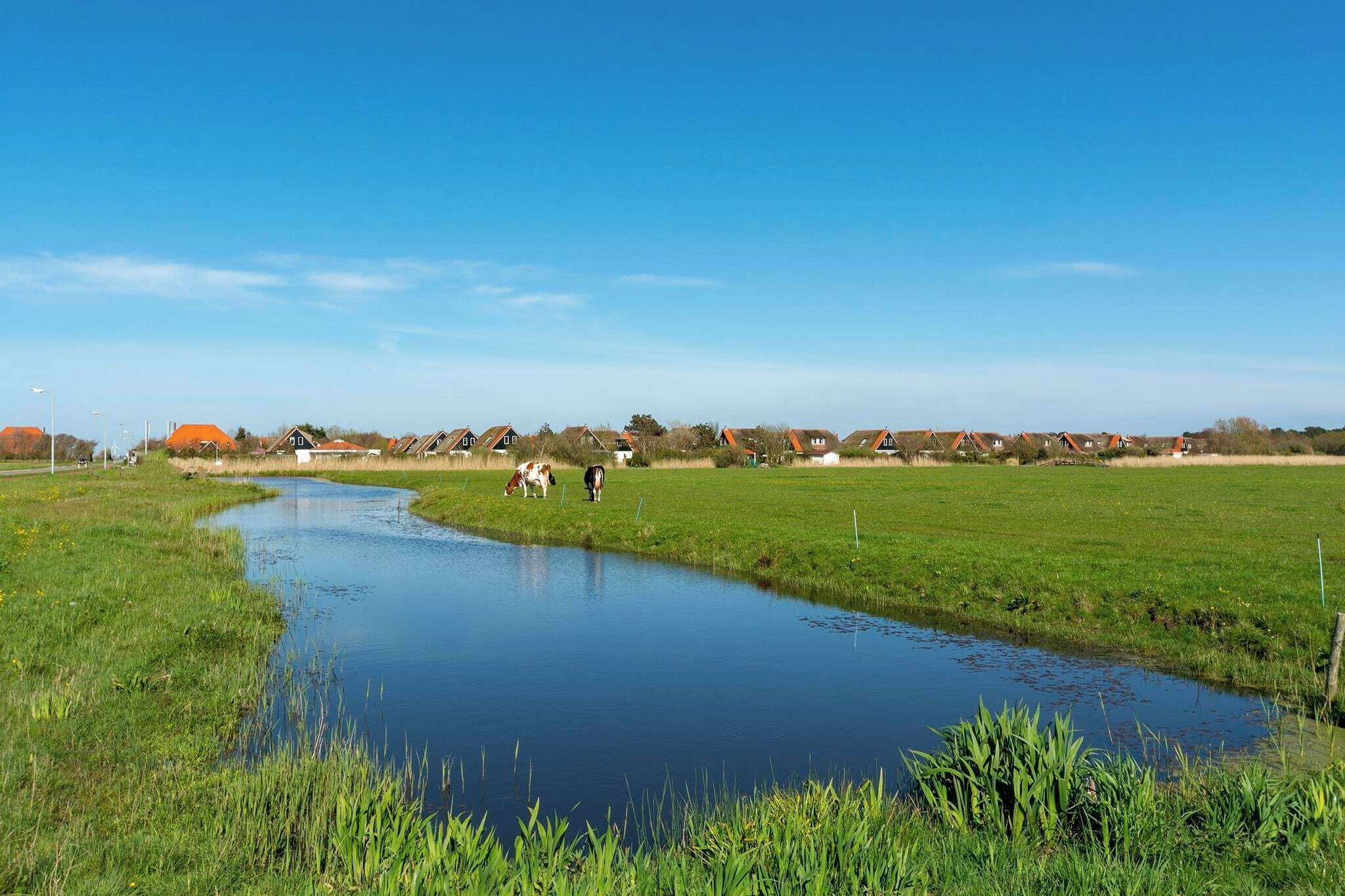 A rural landscape with a narrow water channel, green fields, and a row of houses with orange roofs.