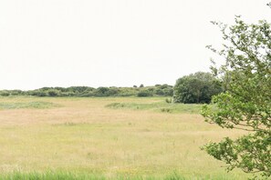 Miscellaneous - Hoeve Landzicht Accommodation for 24-people (Callantsoog)