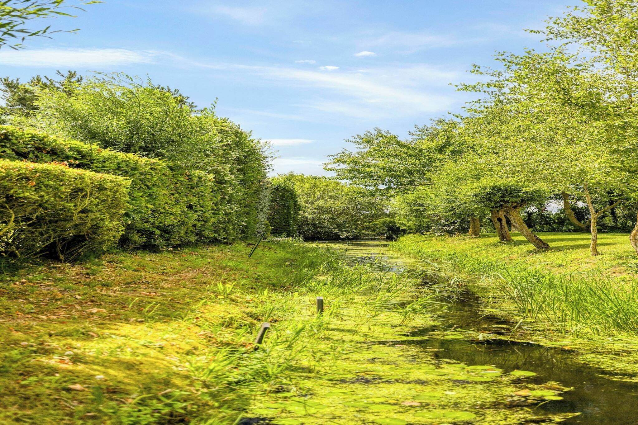 Uma paisagem natural com corpo d'água, vegetação densa e árvores.
