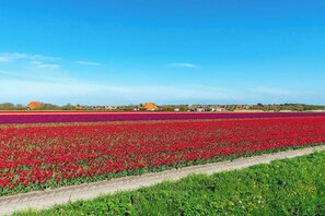 Miscellaneous - De Buitenplaats 7 villa with dune views (Callantsoog)