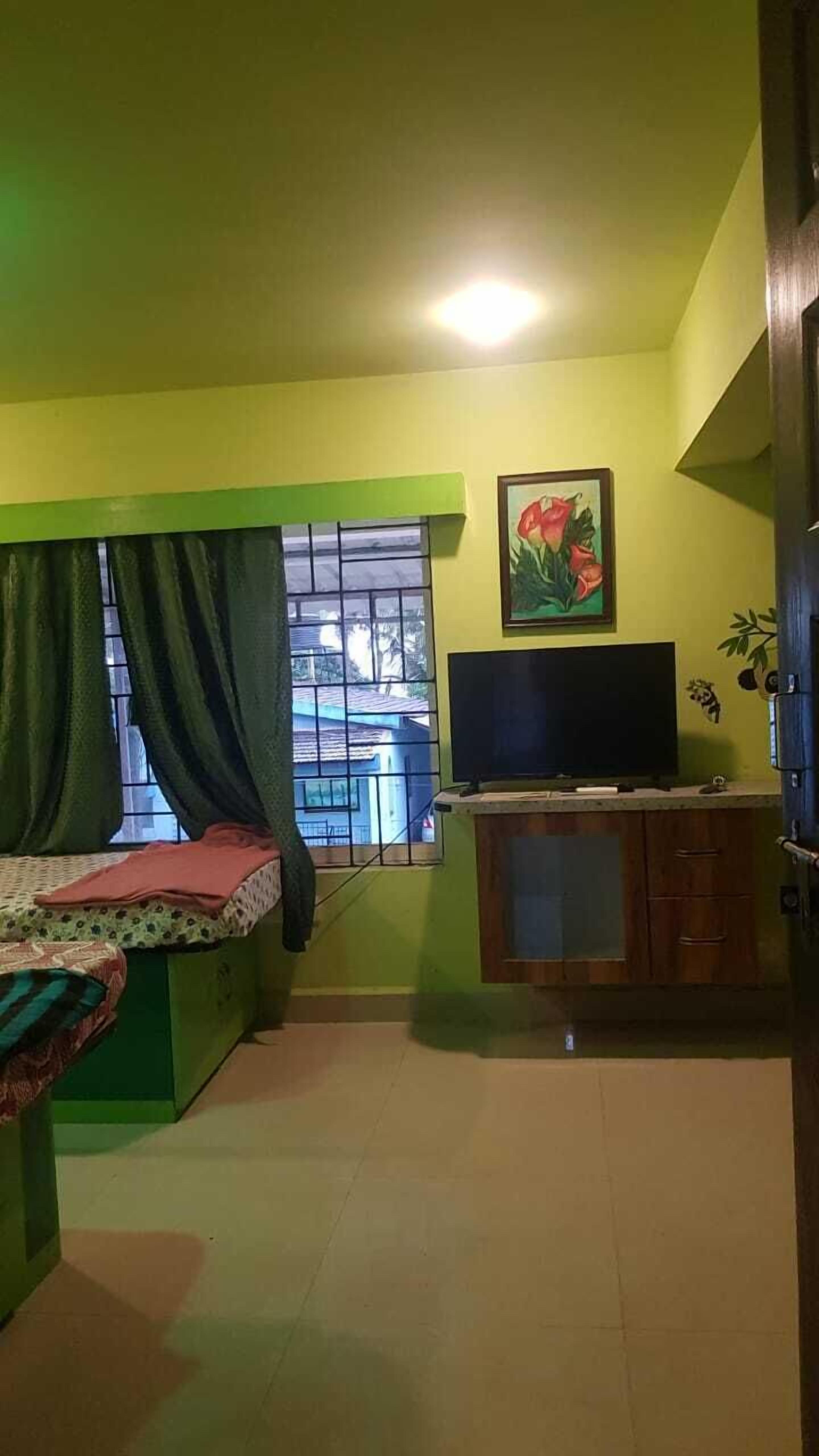 A room with a bed, a TV, a window with curtains, and a plant.