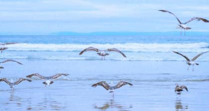 Apartment in De Koog near Texel Beach