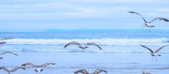 Villa in Julianadorp near the Beach