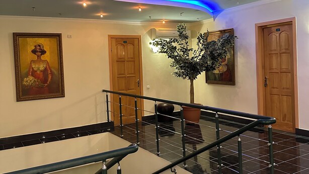 A modern hotel lobby with a staircase, a large painting, and a potted plant. - Lalaner Hotel (Sisian)