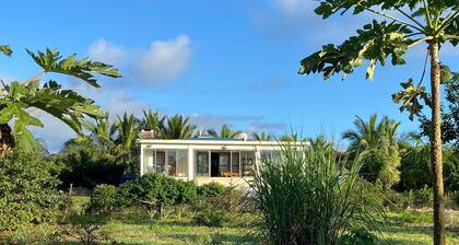 Chalet en Campagne Avec 4000m2 de Jardin Prive