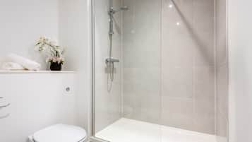 Shower, hair dryer, towels, shampoo