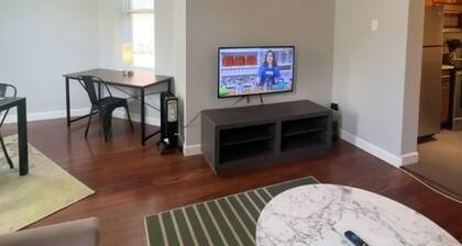 1BR WD Near BJ Hospital Forest Park Zoo