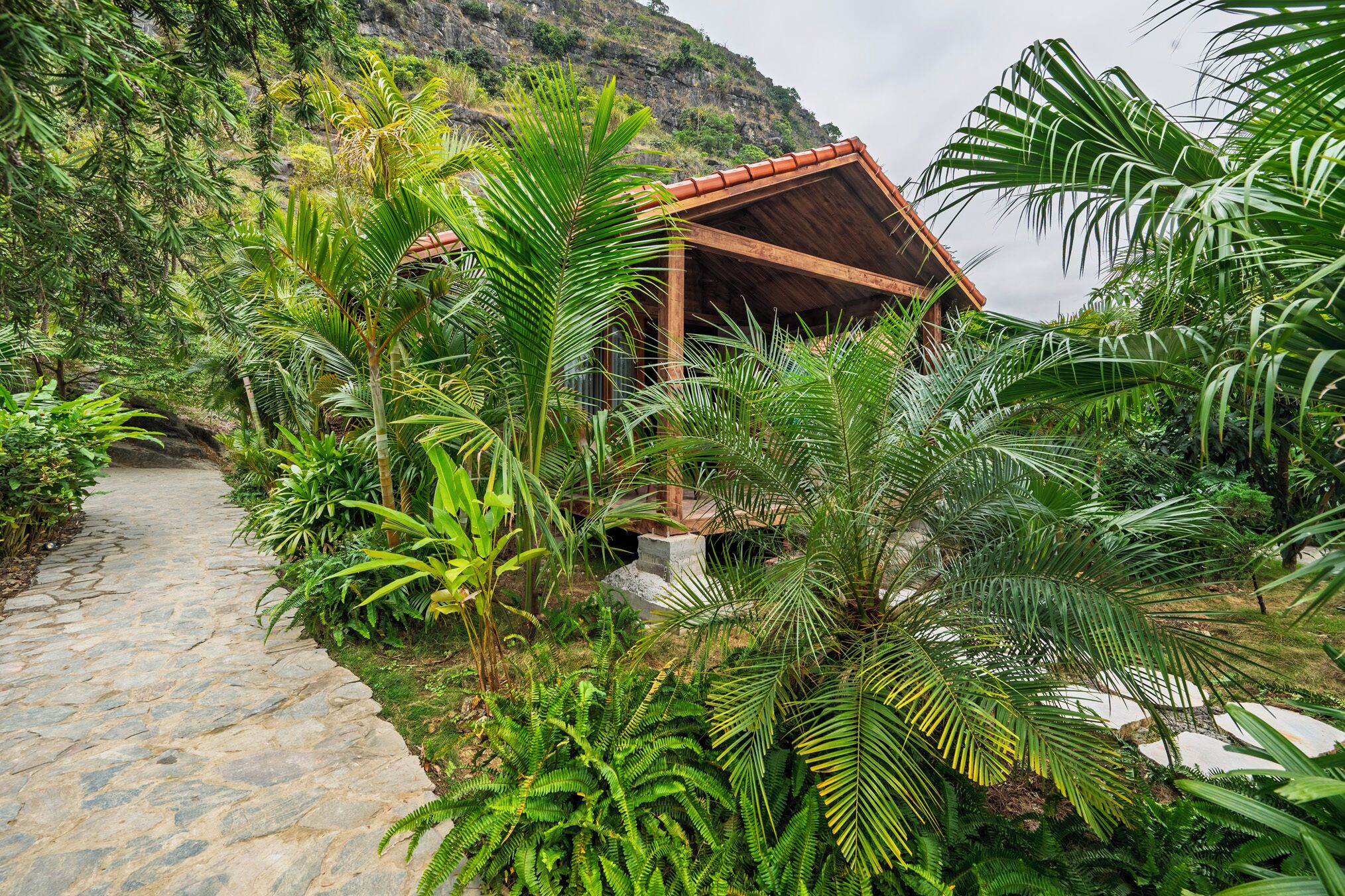 Un camino de piedra que conduce a una estructura de madera rodeada de exuberante vegetación tropical.